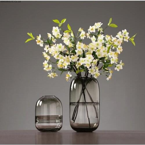 Simple Glass Vase Home Decoration Countertop Vase Creative Gray Transparent Glass Hydroponic Flower Arrangement Accessories