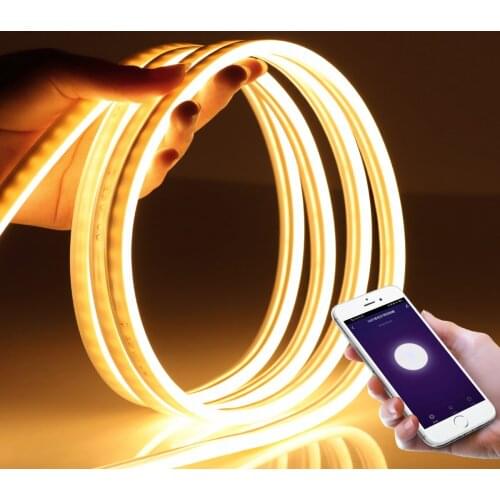 WiFi Neon Tape 12V LED Strip lights Smart Life APP Alexa Wireless Control Backlight lamp For Home Kitchen Cabinet Decor