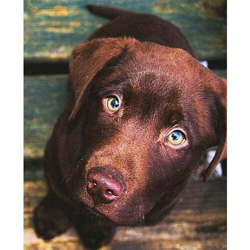 Full Square Round Rhinestones Embroidery Handcraft Cross Stitch animal dog 5d Diy Diamond Painting labrador dog Home Decor TY662