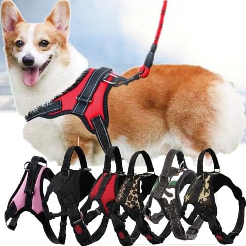 Miflame Adjustable Dogs Harness Pets Accessories Pomeranian Spitz Chihuahua Solid Durable Pet Cats Harness For Small Dogs Vests