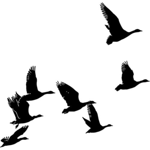 Fly Bird Silicone Transparent Stamp Background Clear Stamps DIY Scrapbooking Card Making