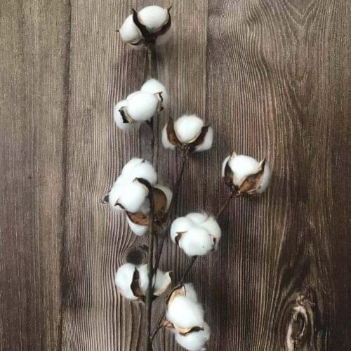 10 Cotton heads/2pcs,Real Dried Cotton with Craft wire Branches,Artificial Plants Floral branch For Wedding Party Home Decor