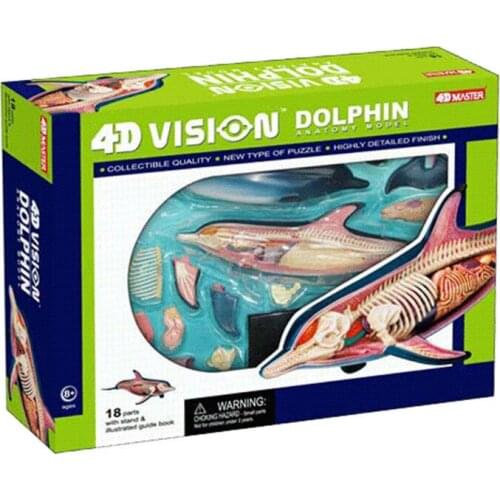 Animal biology dolphin organs anatomy 4D master puzzle assembly toys Medical models