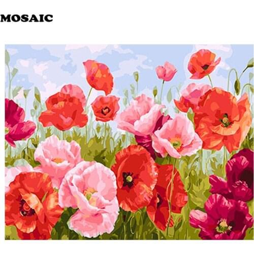 5D DIY diamond painting poppy By Number Modern Canvas Painting 3D embroidery daimond mosaic puzzle 5d home decoration