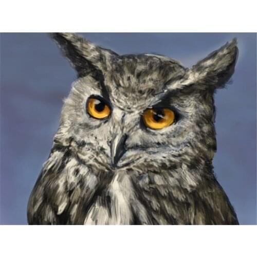 Full Square/Round Diamond Painting New Arrival Beautiful Owl Face Handmade Gift Diamond Embroidery Animal Home Decor