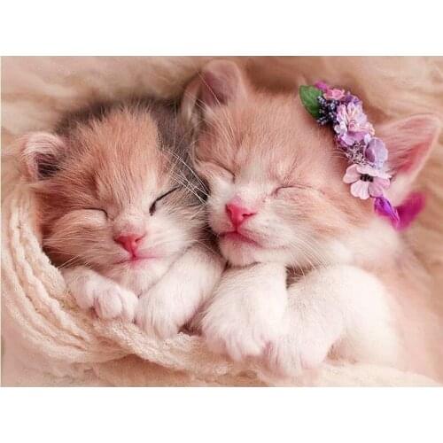 Two Lovely Cats Diamond Painting DIY 5D Full Round Fashion Crafts Mosaic Embroidery Cross Stitch for Home Decor for Gift 2021New