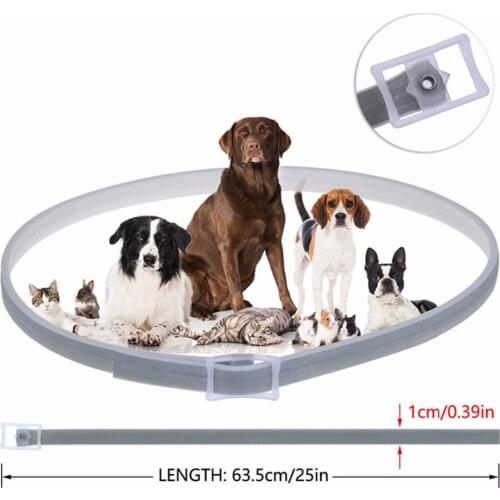 8M Protect Waterproof Adjustable Summer Anti-insect Cat Dog Collar Flea Mosquito Lice Ticks Repeller Waterproof Herbal for Pet