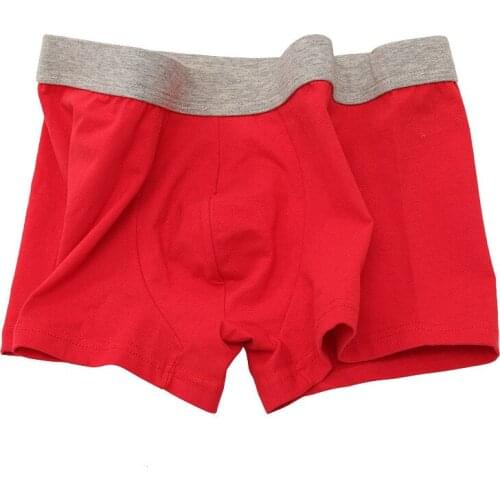 Men Underwear Boxers Cotton Qucik-Dry Sexy Men Boxers Breathable Mens Slip Cueca Male Panties Underpants Mid Rise Boxers