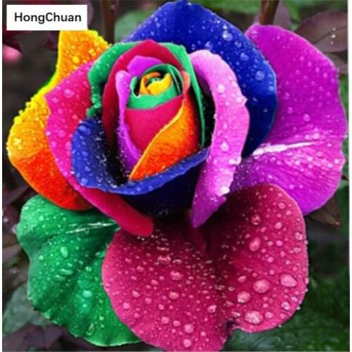 Diamond embroidery, dandelion picture, 5D DIY diamond painting square/round diamond inlay rhinestone picture mosaic cross stitch