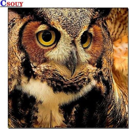 CSOUY Products For Embroidery