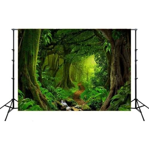 Creeks and Paths Deep In The Green Forest Backdrop Photo Background Vinyl Portrait Photography Photocall Booth Props