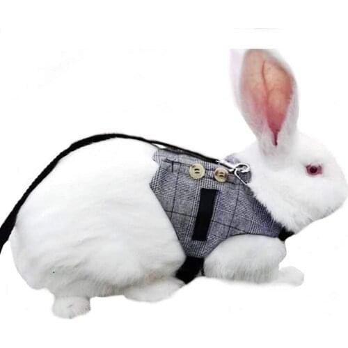 Small Pet Rabbit Harness, Adjustable Breathable Rabbit Chest Strap Outdoor Pet Vest with Pulling Rope, S/M/L 2020 New Arrivals