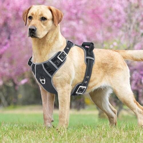 Strong Pet Dog Harness for Small Large Dogs Reflective Pet Harness Vest Training accessories Pitbulls chihuahua pet supplies 35