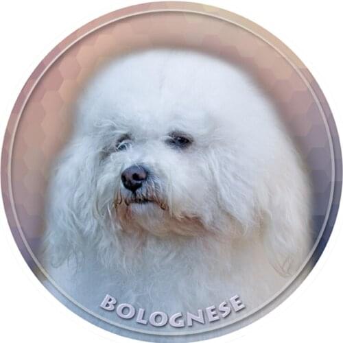 S40314# Various Sizes PVC Decal Bolognese Car Sticker Waterproof For Bumper Rear Window Laptop Refrigerator Toilet