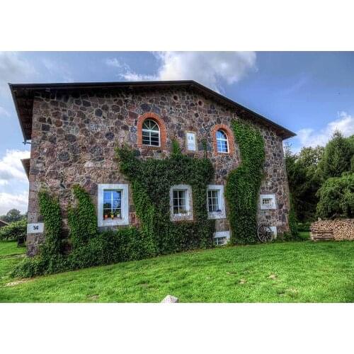 Photo Backdrop Vintage Brick House Grass Computer Printed Background for Children Baby Portrait Photography Props Photophone