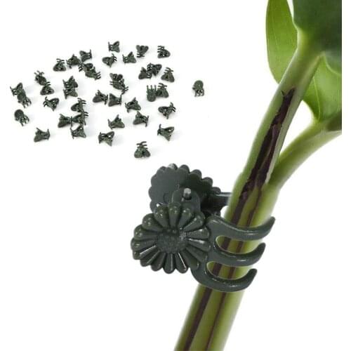 1 Pc Plastic Orchid Clip Vine Clip Garden Clip Butterfly Orchid Clip Decoration Clip Plant Gardening Clip Fixed Clip