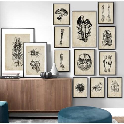 Anatomy Skeleton Vintage Poster Wall Art Print Canvas Painting For Doctor Office Decor Nordic Posters And Prints Wall Pictures