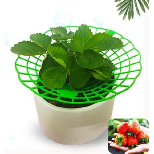 Strawberry Stand Frame Holder Balcony Planting Rack Fruit Support Plant Flower Climbing Vine Pillar Gardening Stand New Upgrade