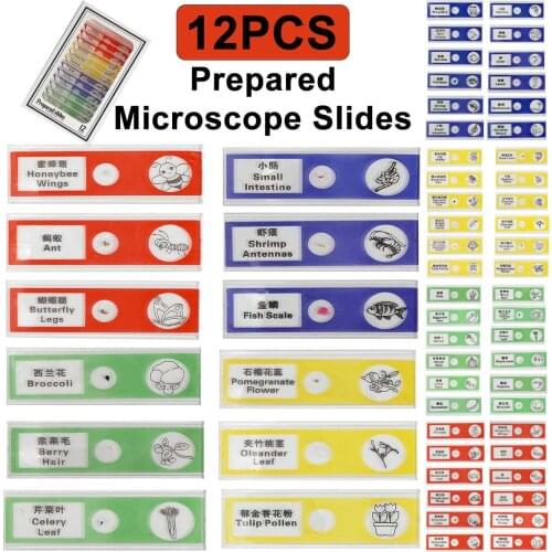 12PCS Prepared Microscope Slides Set Mixed Biological Specimen With Graphic Label Educational Toy Blank Glass for Liquid