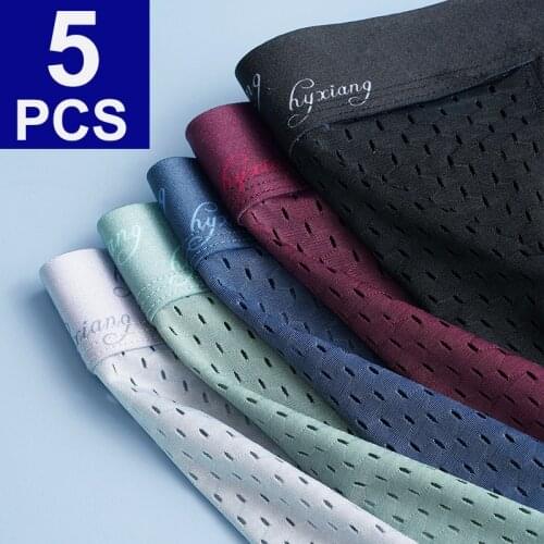 5PCS/Lot Mesh Plus Size Underwear Men Boxers Hombre Boxershorts Men Underpants Gay Underwear Boxer Men Shorts Boxer Para Hombre