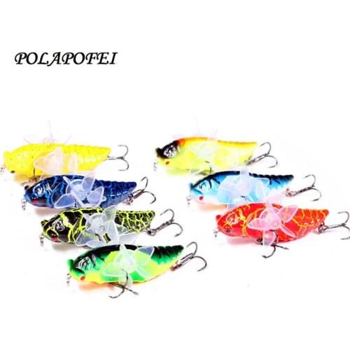 POLAPOFEI Cicadas