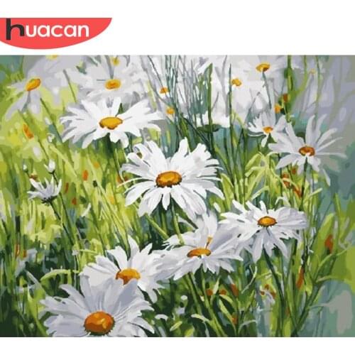 HUACAN Painting By Numbers Daisy Flower Drawing On Canvas HandPainted Art Gift DIY Coloring By Number Flower Kits Home Decor