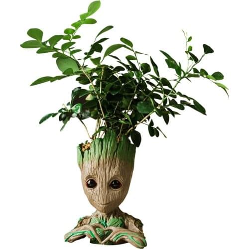 TT Pachira Macrocarpa Plant Pot Purification Air Indoor Living Room Green Radish Flower