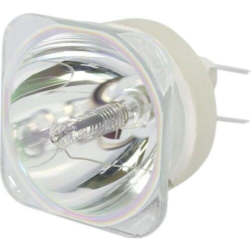 Projector lamp BL-FU310A/FX.PM484-2401/BL-FU310C For OPTOMA X501,W501,EH501,EW420,HD151X,HD36 and housing (no light bulb)