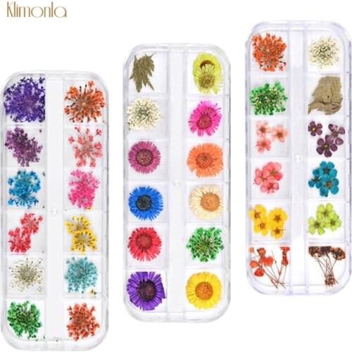12pcs/box Dried Flowers Nail Art Decoration 3D Dry Natural Floral Stickers UV Gel Manicure Nail Beauty Decals