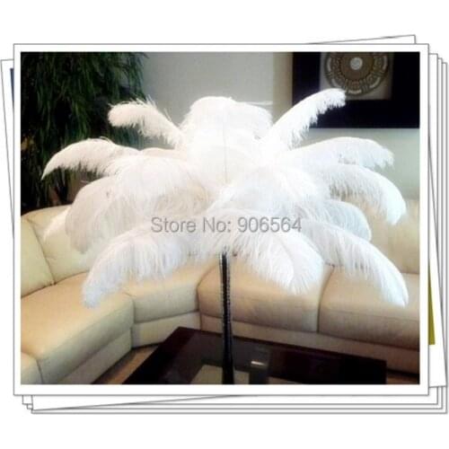 White and Black 18"-20"/45-50CM Ostrich Feathers Plumage Flapper Dresses for Craft DIY Hair Accessories 50Pcs/Lot Free Shipping