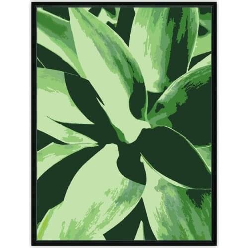 Agave Plant Paint by Numbers Kit for Adults Beginners, Acrylic Painting Oil Paint on Floater Framed Canvas, DIY Paint by Numbers