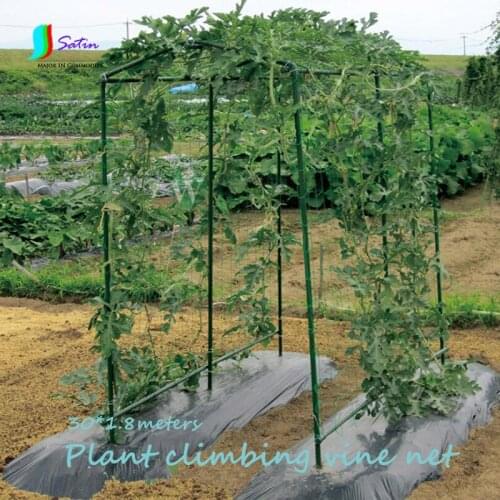 Plant/Morning glory/Parthenocissus Climbing Vine Net For Patio/garden Decoration Net,Gardening Supplie Climbing Vine Net S0662H