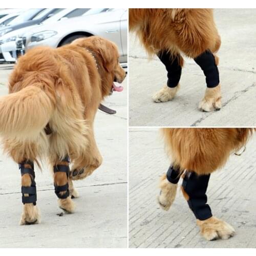Dog Kneepads Pet Leg Surgery Recovery Clothing Leg Joint Protection New Pet Products Small Dog Clothes S-XL Big Dogs Clothing
