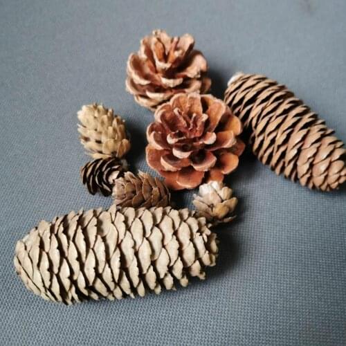 8pcs,Natural Dried Pinecones,Real dried flowers Materials for home Christmas party decoration,DIY gift Xmas Wreath Photo Props