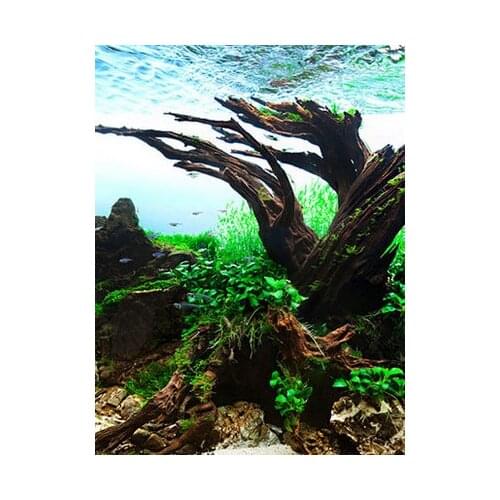 HONGYI 1 piece fish tank decoration natural wood fish tank plant stump ornament landscap decor random shape