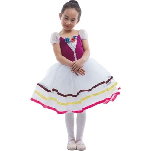 Beautiful Style Women Stage Performance Ballet Costume Tutu, Lady Romantic Ballet Tutu