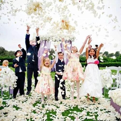 1000/3000pcs Artificial Flower Simulation Rose Petals Decorations Wedding Party Marriage Room Rose Flower Petal 5*5cm 50