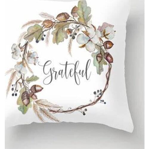 Home Design Cushion Custom Printing Cushion Sofa Cushion Pillow Cover