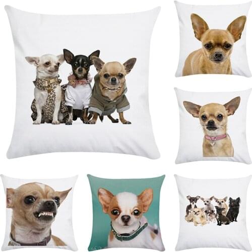 Pet Animal Cushion Cover Chihuahua dog Printed 45x45cm cotton&Polyester Decorative Pillow Cases Cover Home Sofa Pillowcase CR160