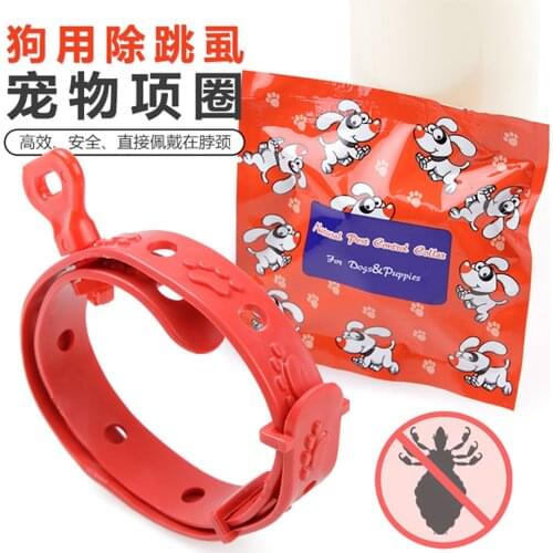 1PC Pet Dog Cat Collar Anti Flea Ticks Mosquitoes Dog Cat No Flea Collar Outdoor Adjustable Pet Collar Cat Accessories
