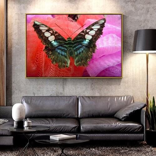 Artcozy Papilio Machaon Butterflies Oil Canvas Painting for Home Decoration Wall Art Canvas Printings Spray Painting Animal