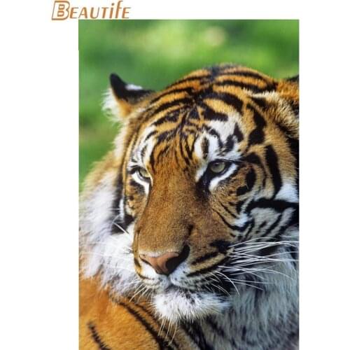 New Arrival Tiger Poster Cloth Silk Poster Home Decoration Wall Art Fabric Poster Print30X45cm,40X60cm.50X75cm,60X90cm