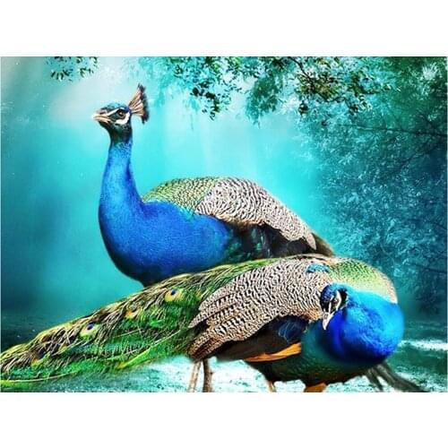 Full Square/Round 5D DIY Diamond Painting Animal peahen 3D Diamond Embroidery Pictures Of Rhinestones Mosaic Decoration CV278