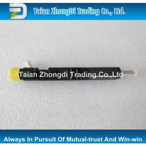 Common rail injector EJBR05301D For yu chai