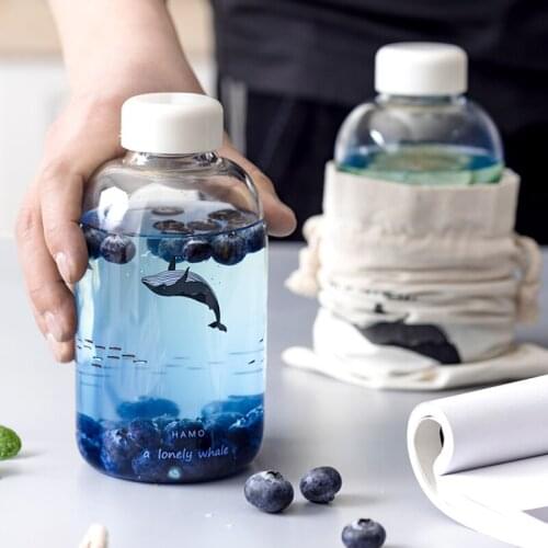 Portable Transparent Drinkware Reusable Glass Cup Creative Drink Juice Mason Jar Glass Water Bottle Canecas Drinkware BD50BL