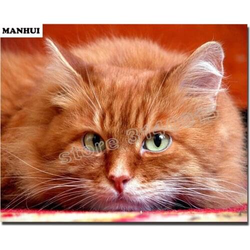 Diy Diamond painting Animal Cat 3D square drill Diamond mosaic pasted full cross stitch Crafts Needlework ABC293