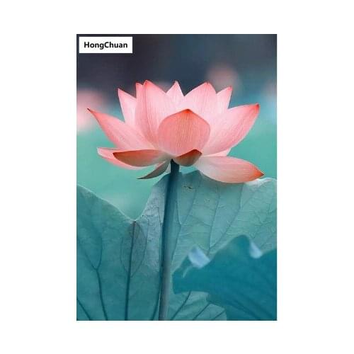 Lotus new product diamond painting diy diamond inlaid handmade 5d diamond embroidery cross stitch kit home decoration new year