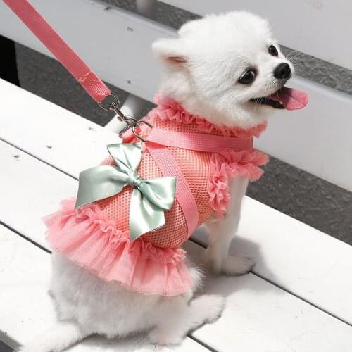 Adjustable Mesh Dog Harness Vest with Leash Tulle Dog Clothes Summer Tutu Dress for Small Dogs Walking Lead for Chihuahua Cat