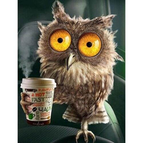 Full Square Diamond Painting Owl 5D Diamond Embroidery Animals Picture Of Rhinestone DIY Diamond Mosaic Coffee Home Decor ll076