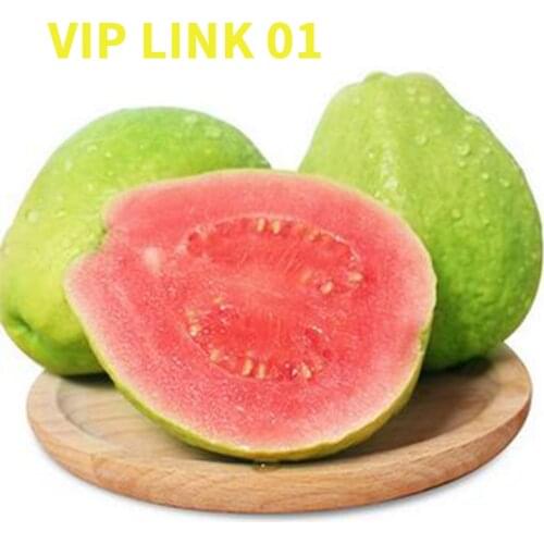VIP LINK